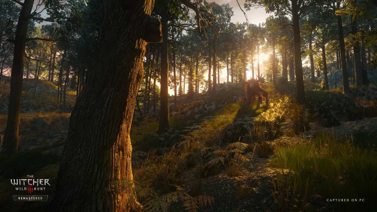 The Witcher 3 Wild Hunt Remastered Screenshot 014 The Witcher 3 Wild Hunt Remastered Screenshot 014